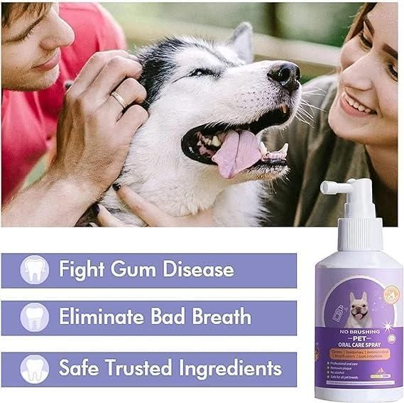 Everyday Pet Care